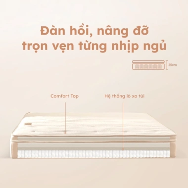 Nệm Foam Lò Xo Hybrid Ru9 25cm Cao Cấp Đàn Hồi Nâng Đỡ, Chuẩn 5 Sao, Lò Xo Độc Lập 4