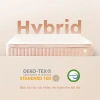 Nệm Foam Lò Xo Hybrid Ru9 25cm Cao Cấp Đàn Hồi Nâng Đỡ, Chuẩn 5 Sao, Lò Xo Độc Lập 8