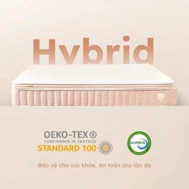 Nệm Foam Lò Xo Hybrid Ru9 25cm Cao Cấp Đàn Hồi Nâng Đỡ, Chuẩn 5 Sao, Lò Xo Độc Lập 8