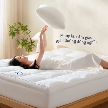 Nệm Topper Mây Microfiber Ru9 8cm - Lông Vũ Nhân Tạo, Bọc 5 Sao, Giá 3.07 Triệu 7