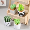 Nhà búp bê 1/4 - Bộ 12 cây thu nhỏ chậu xương rồng, mô hình phong cảnh vi mô, trang trí sân vườn, phụ kiện COD 45.320₫