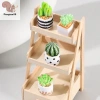 Nhà búp bê 1/4 - Bộ 12 cây thu nhỏ chậu xương rồng, mô hình phong cảnh vi mô, trang trí sân vườn, phụ kiện COD 45.320₫ 2