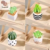 Nhà búp bê 1/4 - Bộ 12 cây thu nhỏ chậu xương rồng, mô hình phong cảnh vi mô, trang trí sân vườn, phụ kiện COD 45.320₫ 3