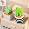 Nhà búp bê 1/4 - Bộ 12 cây thu nhỏ chậu xương rồng, mô hình phong cảnh vi mô, trang trí sân vườn, phụ kiện COD 45.320₫ 6