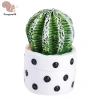 Nhà búp bê 1/4 - Bộ 12 cây thu nhỏ chậu xương rồng, mô hình phong cảnh vi mô, trang trí sân vườn, phụ kiện COD 45.320₫ 8