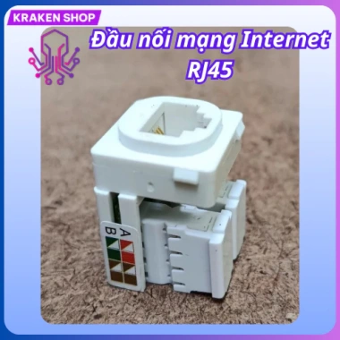 Nhân ổ cắm mạng âm tường SINO VANLOCK bo tròn góc chuẩn Cat5 - Giá 25.000 VND