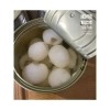 Nhãn tươi ngâm đường Long An 565gr - Thức uống giải nhiệt, không hóa chất, chỉ 62.000₫ 2