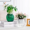 Nồi Hoa Hình Bí Ngô Nhựa Trong Suốt Dày - Đồ Trang Trí Bàn, Giá Chỉ 23.650 VND