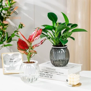 Nồi Hoa Hình Bí Ngô Nhựa Trong Suốt Dày - Đồ Trang Trí Bàn, Giá Chỉ 23.650 VND