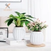Nồi Hoa Hình Bí Ngô Nhựa Trong Suốt Dày - Đồ Trang Trí Bàn, Giá Chỉ 23.650 VND 3