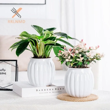 Nồi Hoa Hình Bí Ngô Nhựa Trong Suốt Dày - Đồ Trang Trí Bàn, Giá Chỉ 23.650 VND