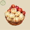Nửa Ký Hành Tỏi 250g + 250g Tỏi Khô Sạch, Hành Tím Việt Nam, Hành Ấn Độ Giá Ưu Đãi 45,000 VND 9