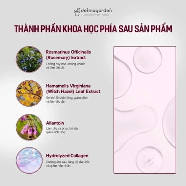 Nước Hoa Hồng Dermagarden Rose Essence Toner 150ml – Dưỡng ẩm, se khít lỗ chân lông, giảm còn 560k 6