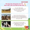 Nước nhung hươu Ki&Young cho bé 1 tuổi, vị ngọt, đóng túi tiện lợi 33.000 VND 7
