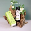 Nước tắm tràm AN Naturals 200ml - Bảo vệ da bé, ngăn rôm sảy, hăm da, viêm da 2