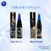 Nước Uống Sakura Collagen Nhật Bản 500ml - Dưỡng Da Sâu, Giá Ưu Đãi 2.89 Triệu 6