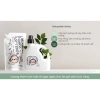 Nước Xả Thuần Chay Lalabebe K‑Mom Hàn Quốc 1.700ml/1.300ml – Giá 249.000₫ 5