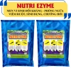 NUTRI EZYME Men Vi Sinh Đối Kháng Ngăn Ngừa Viêm Ruột, Khó Thở, Sinh Bạ, Xuất Huyết - Giá 105.000 VND