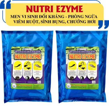 NUTRI EZYME Men Vi Sinh Đối Kháng Ngăn Ngừa Viêm Ruột, Khó Thở, Sinh Bạ, Xuất Huyết - Giá 105.000 VND