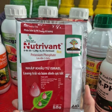 Nutrivant - Thực phẩm bổ sung dinh dưỡng, giảm cân, giá chỉ 20.000 VND (giá gốc 26.000 VND) 2 Nutrivant - Thực phẩm bổ sung dinh dưỡng, giảm cân, giá chỉ 20.000 VND (giá gốc 26.000 VND) 2