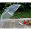 Ô Trong Suốt Gấp Gọn Che Mưa Thời Trang Tiện Lợi Độ Bền Cao Giá 39.000 2