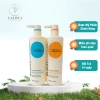 Olexrs Hair Salon Argan Oil Collagen Complex 500ml - Dầu gội xả dưỡng tóc, giảm gãy rụng, 435k 2