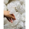 Ống Nhựa Hút Máu Bầm Spa Loại 1 có nắp Túi 100 cái Giá ưu đãi 80.000 VNĐ