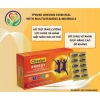 Oredon Energy Ginseng Multivitamin & Minerals - Giúp Ăn Ngon, Giảm Mệt Mỏi, Hộp 3x10 Viên, Giá Ưu Đãi 259.000₫