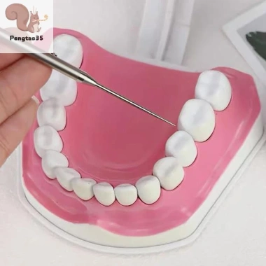 Pengtao35 Tăm Titan Kính Thiên Văn, Móc Khóa, Dây Chuyền Cắm Trại COD 53.130₫