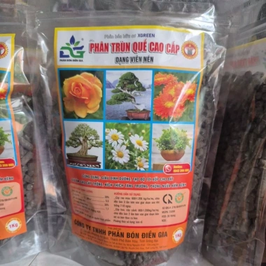 Phân trùn quế 1kg - Dinh dưỡng sinh học cho cây, giảm sâu bệnh, giá 50.000 VND (giá gốc 61.000 VND) 2 Phân trùn quế 1kg - Dinh dưỡng sinh học cho cây, giảm sâu bệnh, giá 50.000 VND (giá gốc 61.000 VND) 2