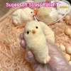 Pufangnice Gà Hamster Đồ Chơi Mềm Bóp Gà Con - Giảm Áp Lực, Giá 50.270 VND