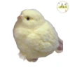 Pufangnice Gà Hamster Đồ Chơi Mềm Bóp Gà Con - Giảm Áp Lực, Giá 50.270 VND 7