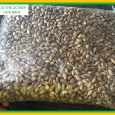 Quả Ké Đầu Ngựa 1kg Đã Bỏ Gai Giá Buôn 80.000 - Giá Rẻ, Tươi Ngon, Sẵn Sàng Giao 3 Quả Ké Đầu Ngựa 1kg Đã Bỏ Gai Giá Buôn 80.000 - Giá Rẻ, Tươi Ngon, Sẵn Sàng Giao 3