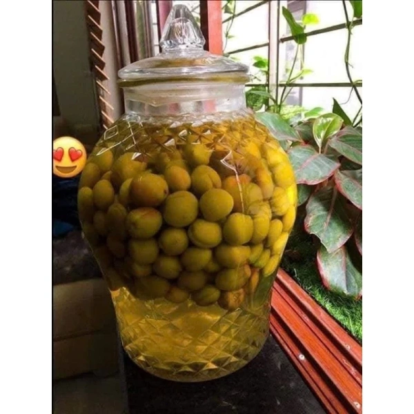 Cách chọn và bảo quản quả mơ tươi 1kg để luôn giữ vị ngọt và dinh dưỡng