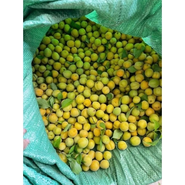 Hình ảnh sản phẩm Quả Mơ Tươi Ngon 1kg Hà Nội - Giá Rẻ Bất Ngờ Còn 130k