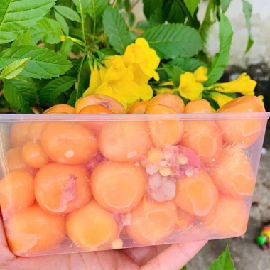 Rẻ vô địch Trứng non Net8 1kg - Giao nhanh TPHCM, Giá chỉ 130k (Giảm từ 169k)