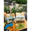 Rong Biển Rắc Cơm Hữu Cơ cho Bé Vị Hải Sản 21g ALVINS USDA Organic Giá chỉ 128.915₫ 6