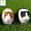 ROOKIEDD4 Hamster Đồ Chơi Sang Trọng, Búp Bê Chuột Lang Sang Trọng Mũm mĩm Mềm Mại, Bộ Sưu Tập Hoạt Hình Bông PP Dễ Thương Động Vật Nhồi Bông Búp Bê Sang Trọng Trang Trí Hiện Tại