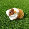 ROOKIEDD4 Hamster Đồ Chơi Sang Trọng, Búp Bê Chuột Lang Sang Trọng Mũm mĩm Mềm Mại, Bộ Sưu Tập Hoạt Hình Bông PP Dễ Thương Động Vật Nhồi Bông Búp Bê Sang Trọng Trang Trí Hiện Tại 4