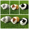 ROOKIEDD4 Hamster Đồ Chơi Sang Trọng, Búp Bê Chuột Lang Sang Trọng Mũm mĩm Mềm Mại, Bộ Sưu Tập Hoạt Hình Bông PP Dễ Thương Động Vật Nhồi Bông Búp Bê Sang Trọng Trang Trí Hiện Tại 6