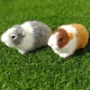 ROOKIEDD4 Hamster Đồ Chơi Sang Trọng, Búp Bê Chuột Lang Sang Trọng Mũm mĩm Mềm Mại, Bộ Sưu Tập Hoạt Hình Bông PP Dễ Thương Động Vật Nhồi Bông Búp Bê Sang Trọng Trang Trí Hiện Tại 7