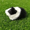 ROOKIEDD4 Hamster Đồ Chơi Sang Trọng, Búp Bê Chuột Lang Sang Trọng Mũm mĩm Mềm Mại, Bộ Sưu Tập Hoạt Hình Bông PP Dễ Thương Động Vật Nhồi Bông Búp Bê Sang Trọng Trang Trí Hiện Tại 8