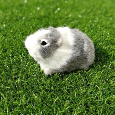 ROOKIEDD4 Hamster Đồ Chơi Sang Trọng, Búp Bê Chuột Lang Sang Trọng Mũm mĩm Mềm Mại, Bộ Sưu Tập Hoạt Hình Bông PP Dễ Thương Động Vật Nhồi Bông Búp Bê Sang Trọng Trang Trí Hiện Tại