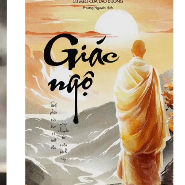 Cảm nhận trải nghiệm đọc ‘Cú Mèo Của Lão Dương’ – Những bài học thực tiễn từ bộ sách kết hợp