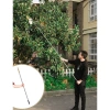 Sào Gậy Hái Quả Inox 3M-9M - Công Cụ Hái Xoài, Sấu, Trái Cây Trên Cao Dễ Dàng Chỉ 149k! 7