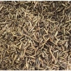 Sâu canxi phồng - Sâu sấy khô cho gà, hamster, nhím, chim, sóc, sóc bay, rùa, cá, vịt - Giá chỉ 19.000đ 3