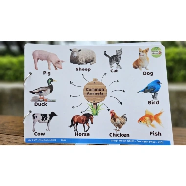 SĐTD 20 chủ đề kèm file nghe video, bìa cứng chống nước, in A4 - Giá ưu đãi 130.000đ
