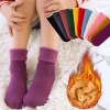 Set 10 Đôi Tất Vớ Tăm Lót Lông Ấm Áp Đa Dạng Cho Bé 2-6 Tuổi - Tất Đại Hàn