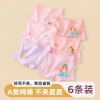 Sét 5 quần chip cho bé - Đồ trẻ em chất lượng, thoải mái, giá chỉ 139.000 VND giảm mạnh 2