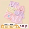 Sét 5 quần chip cho bé - Đồ trẻ em chất lượng, thoải mái, giá chỉ 139.000 VND giảm mạnh 3